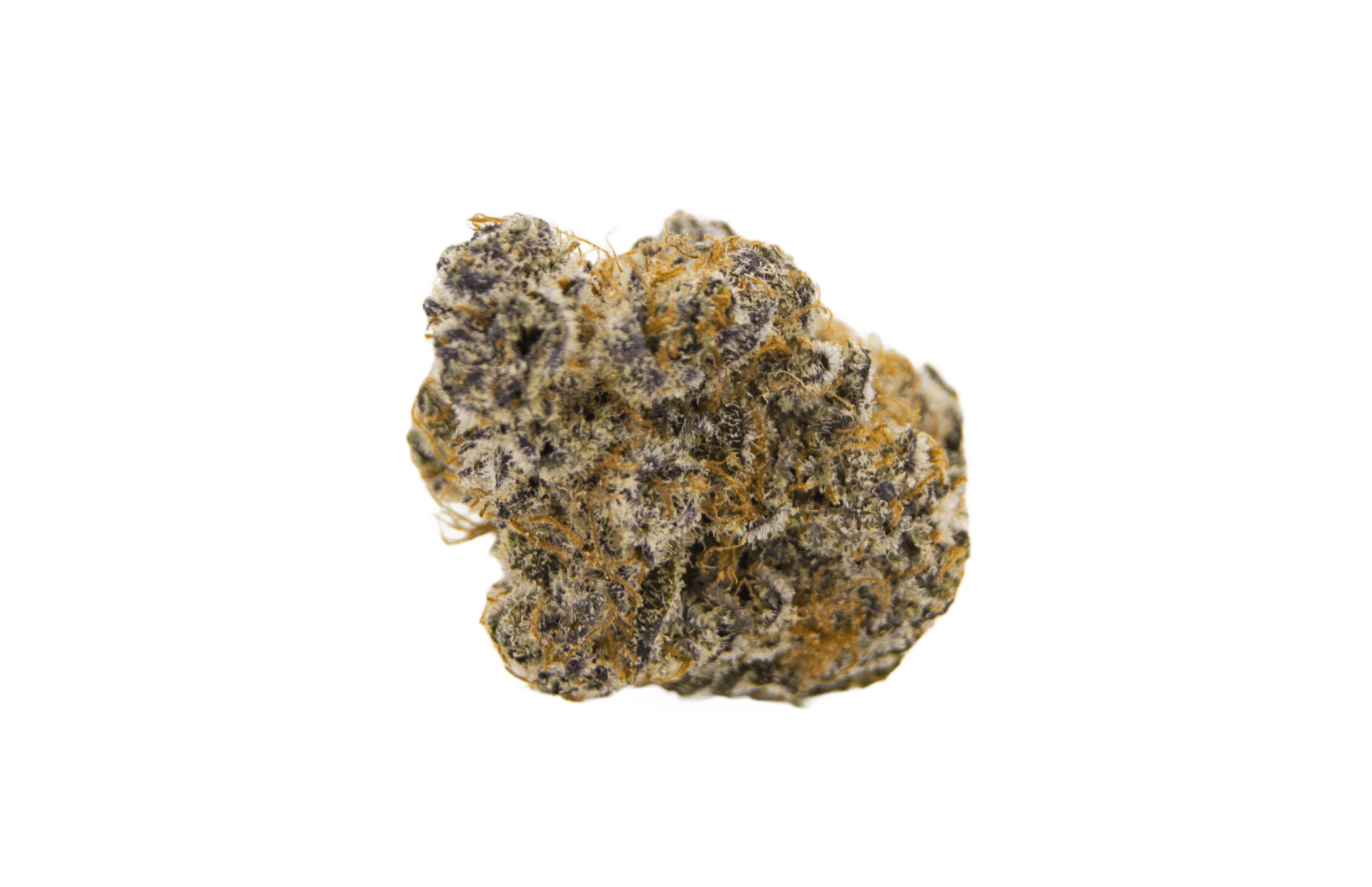 Black Mamba strain image