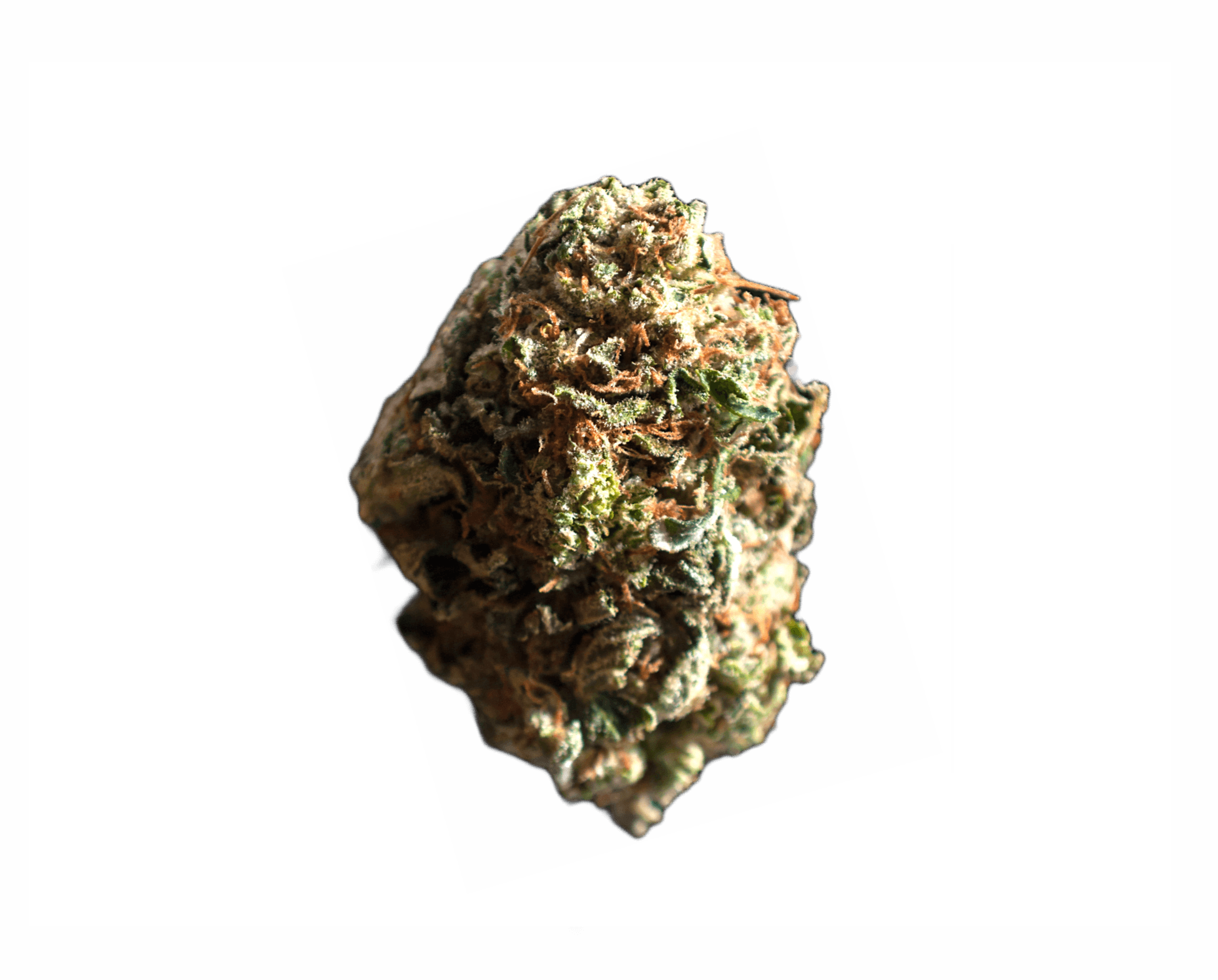 Dogwalker OG strain image
