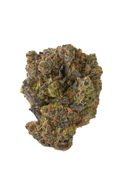 Gelato strain image