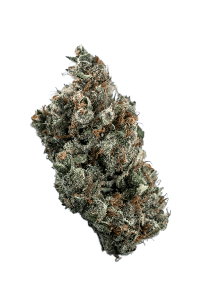 Black Jack strain image