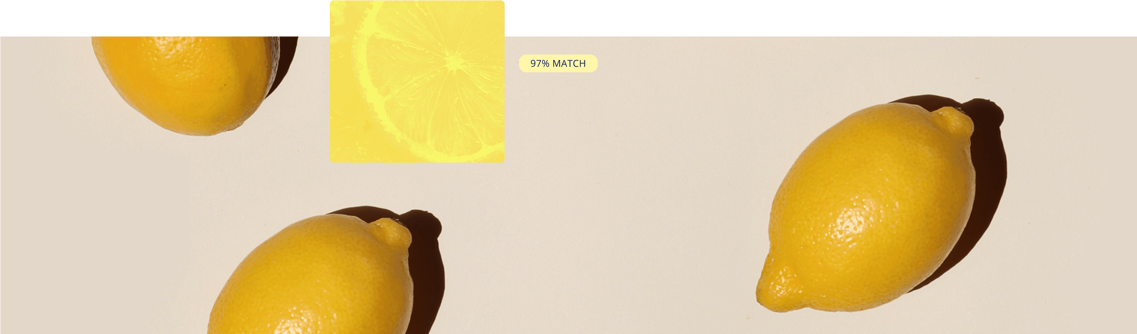 Lemon collection cover