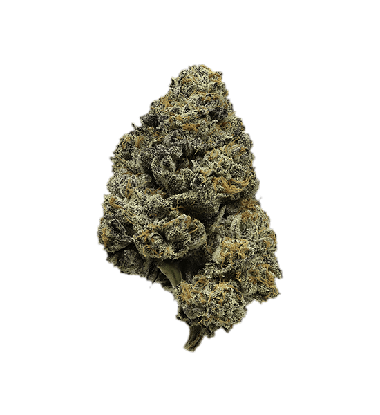 Jet Fuel Gelato strain image