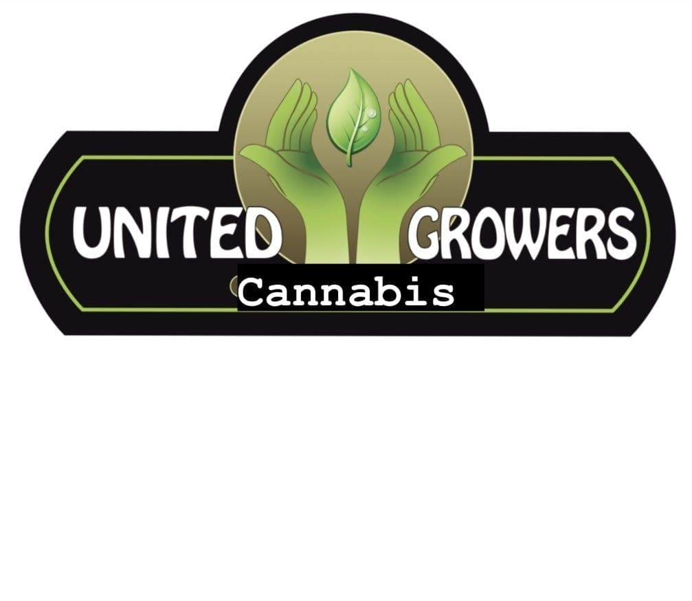 Dispensary logo