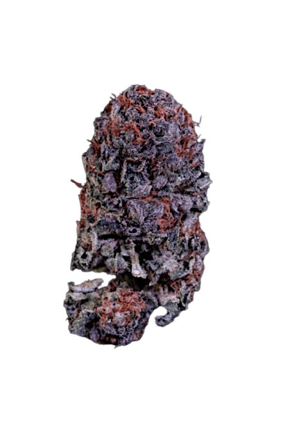 Confidential Cheese strain image