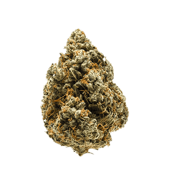 Cultivar cover image