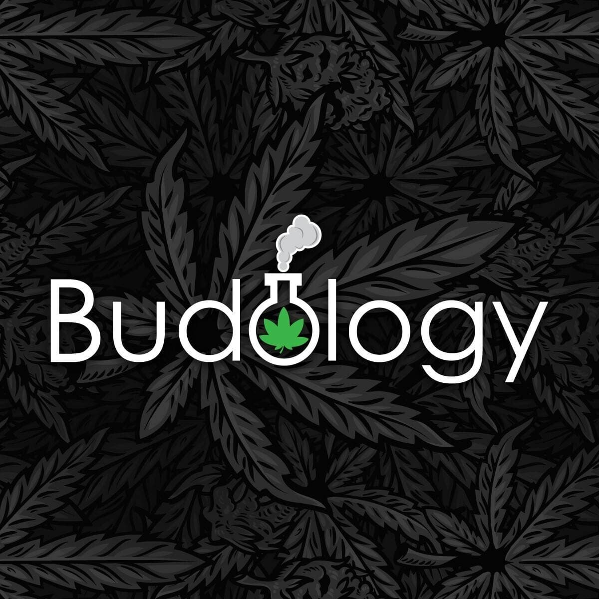 Dispensary logo