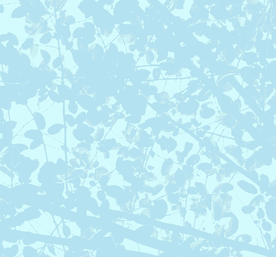 Asthma collection cover