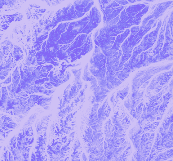Epilepsy collection cover