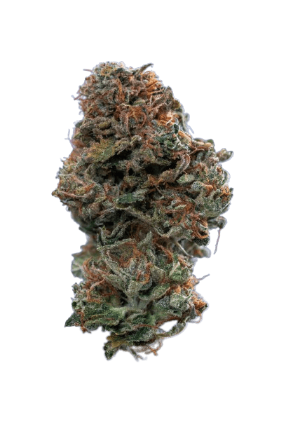 24k Gold strain image