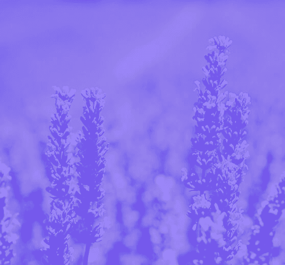 Linalool collection cover
