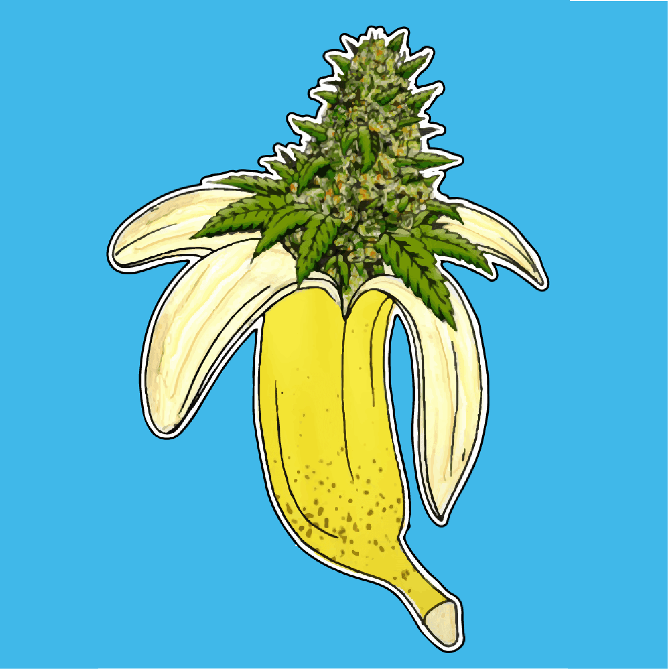 Dispensary logo