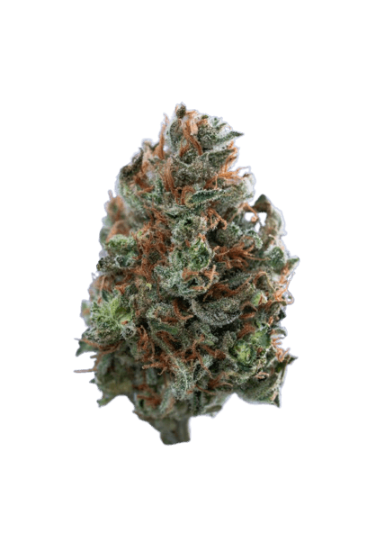 Clementine strain image