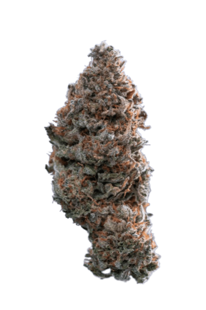 Do-Si-Dos strain image