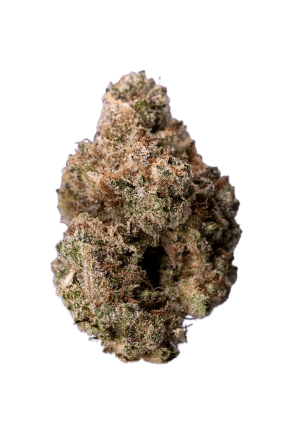 Duct Tape strain image