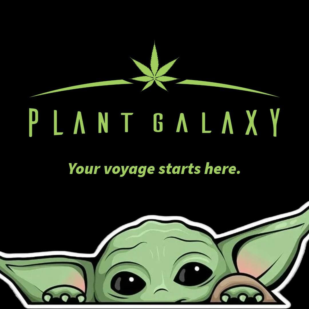 Dispensary logo