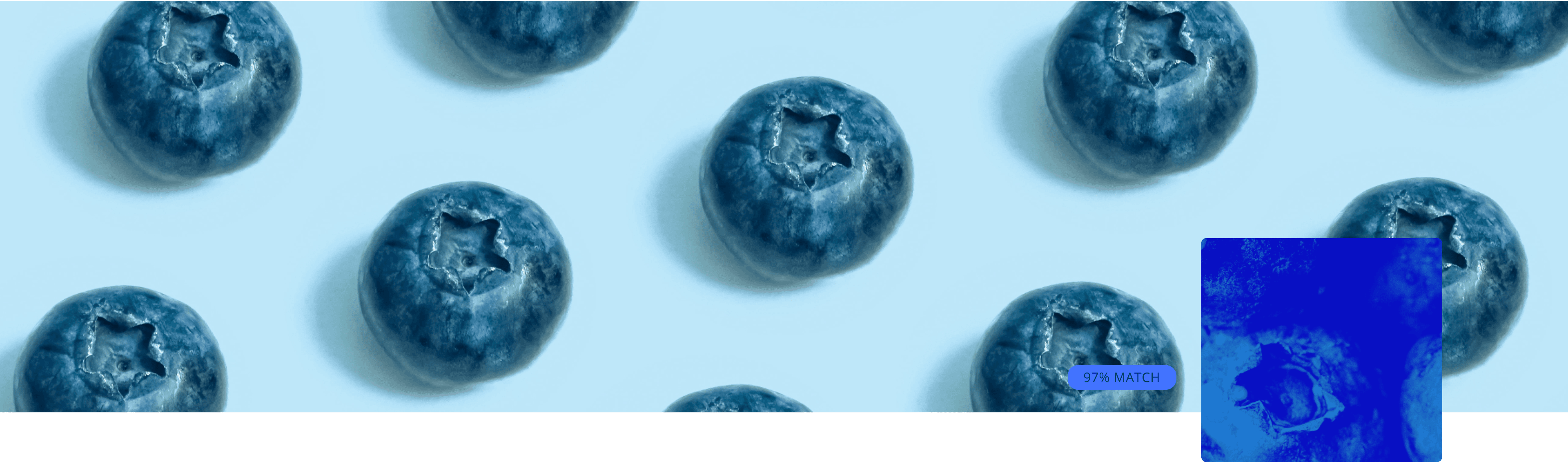 Blueberry collection cover