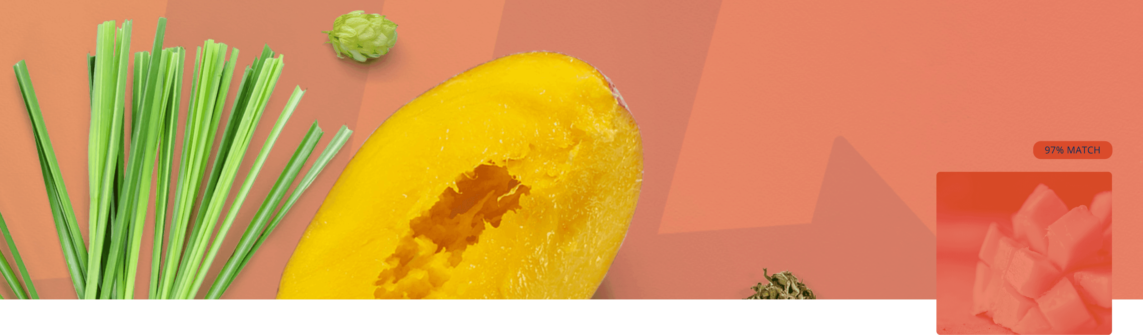 Myrcene terpene cover