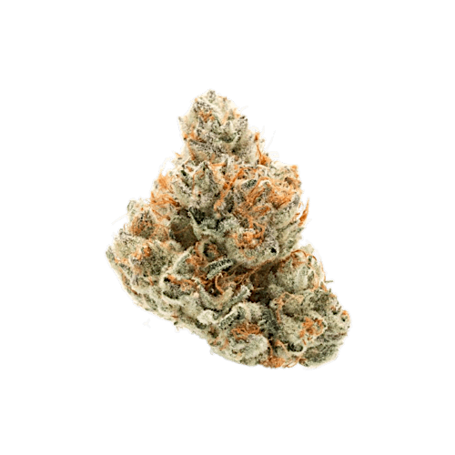 Afghani strain image